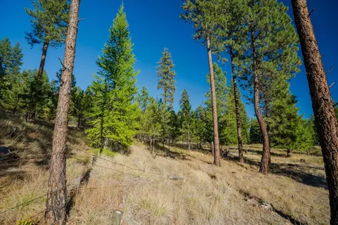 Exterior - Kna Mack Road, Libby, MT 59923 photo 5 of 7