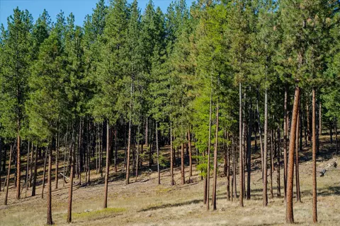 Other - Kna Mack Road, Libby, MT 59923 photo 16 of 37