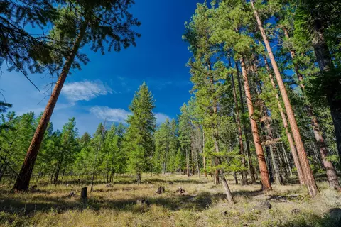 Other - Kna Mack Road, Libby, MT 59923 photo 29 of 37