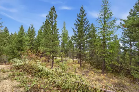 lot10 Panoramic View Dr, Libby, MT 59923 photo 2