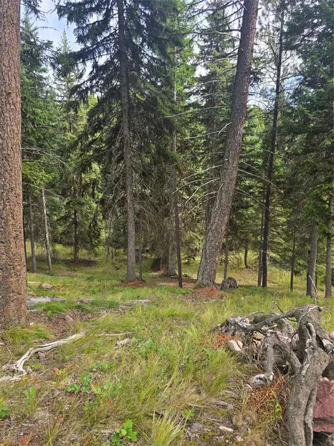 125 Moose Ln, Seeley Lake, MT 59868