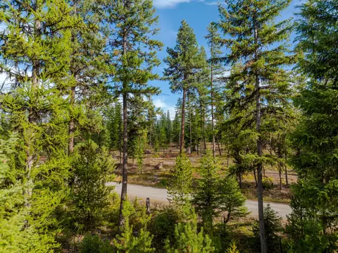 View/Area - 50 Cherry Creek Rd, Libby, MT 59923 photo 8 of 9