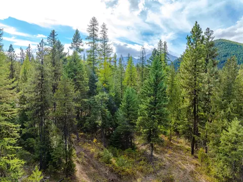 3036 Bear Creek Rd, Libby, MT 59923 photo 8
