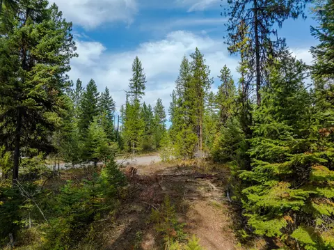 3036 Bear Creek Rd, Libby, MT 59923 photo 6