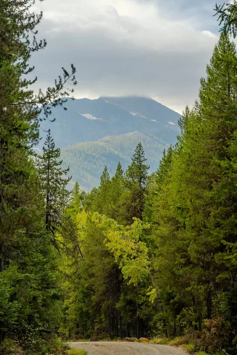 3036 Bear Creek Rd, Libby, MT 59923 photo 7