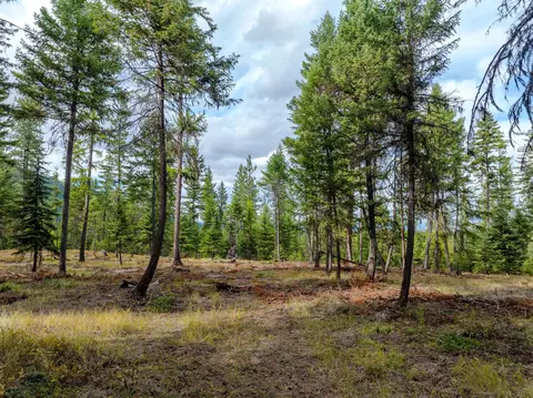 Exterior - 2850 Bear Creek Rd, Libby, MT 59923 photo 2 of 3