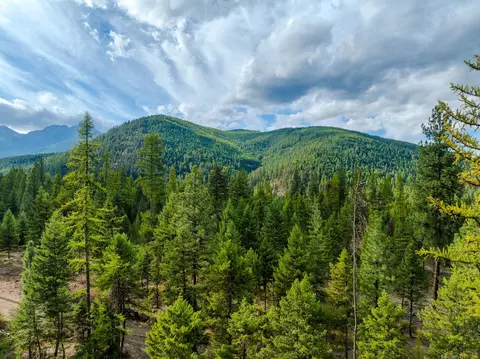 Other - 2850 Bear Creek Rd, Libby, MT 59923 photo 3 of 5