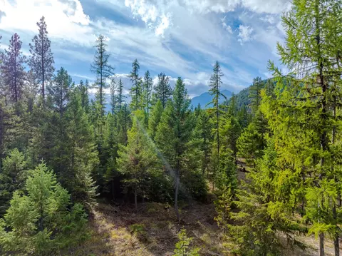 Other - 2850 Bear Creek Rd, Libby, MT 59923 photo 4 of 5