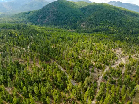 View/Area - 2850 Bear Creek Rd, Libby, MT 59923 photo 2 of 4