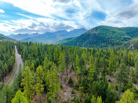 View/Area - 2850 Bear Creek Rd, Libby, MT 59923 photo 3 of 4