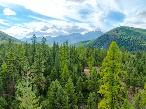 View/Area - 2850 Bear Creek Rd, Libby, MT 59923 photo 4 of 4