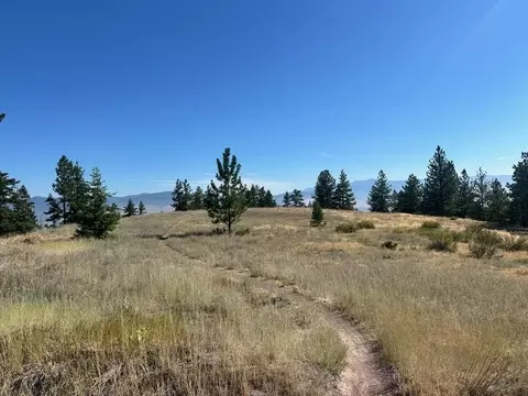 Parcel 2a Dry Gulch Road, Missoula, MT 59804