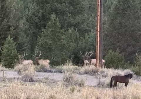 Nhn Tbd, Anaconda, MT 59711