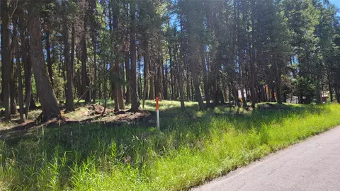 Other - 853 Bitterroot Dr, Marion, MT 59925 photo 4 of 14