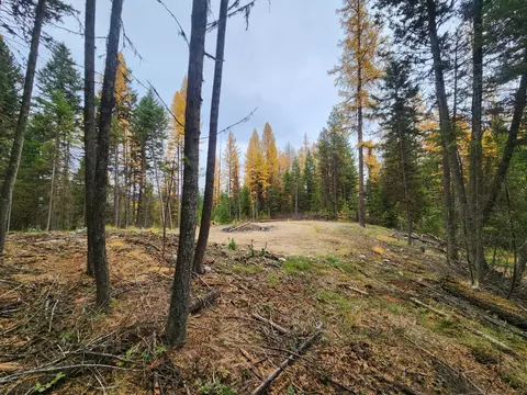 Exterior - 853 Bitterroot Dr, Marion, MT 59925 photo 4 of 9