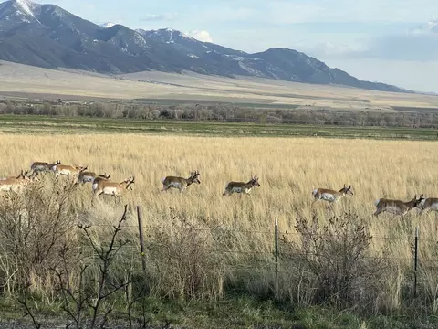 Other - 1873 Jack Rabbit Ln, Whitehall, MT 59759 photo 21 of 22