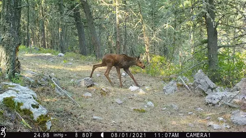 Other - 19 September Dr, Clancy, MT 59634 photo 18 of 21
