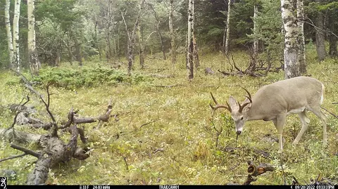 Other - 19 September Dr, Clancy, MT 59634 photo 20 of 21