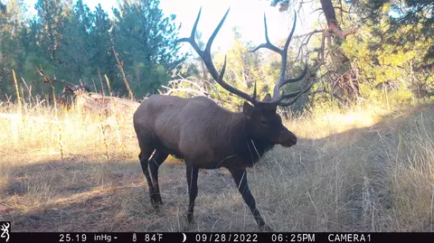 Other - 19 September Dr, Clancy, MT 59634 photo 11 of 21