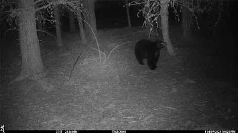 Other - 19 September Dr, Clancy, MT 59634 photo 16 of 21