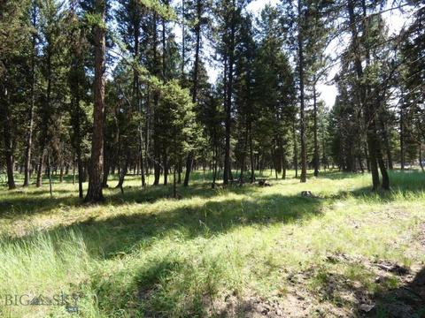 3214 Hwy 83, Seeley Lake, MT 59868