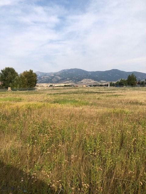 tbd Burke, Bozeman, MT 59718