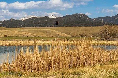 TBD Highway 43, Divide, MT 59727 photo 19