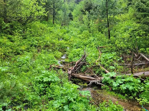 Lot 13 Charley Road, Wolf Creek, MT 59648