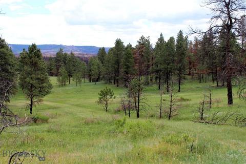tbd Deer Lane, Roundup, MT 59072