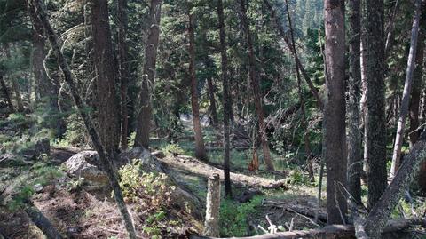 S TBD Boulder Lot 41 Road, Mammoth, MT 59721