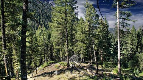 S TBD Boulder Lot 42 Road, Mammoth, MT 59721