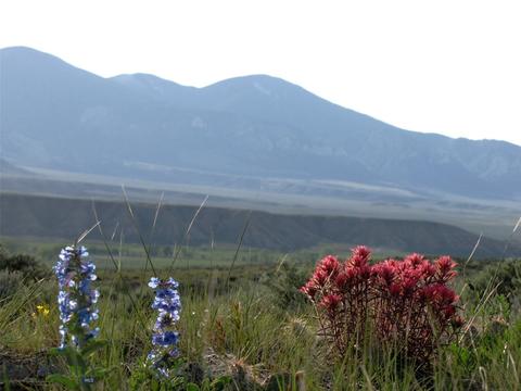 NHN Parkland Trail, Clark, WY 82435
