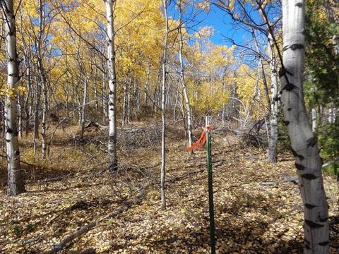 TBD Clear Creek Trail, Anaconda, MT 59711