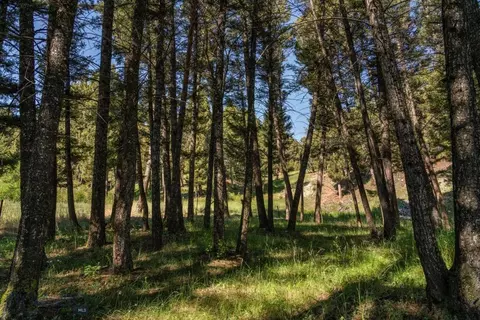 337 Echo Valley Campground Rd, Avon, MT 59713 photo 6