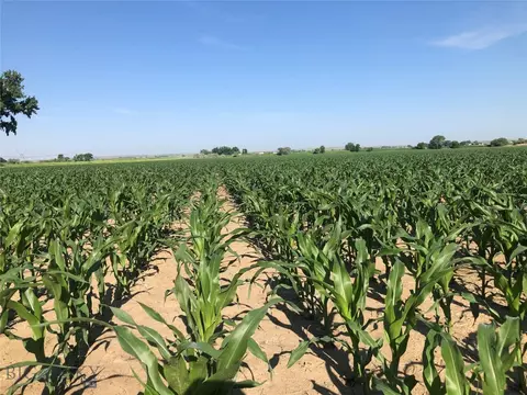 TBD Highway 16, Sidney, MT 59207