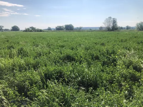 TBD County Road 344, Sidney, MT 59270