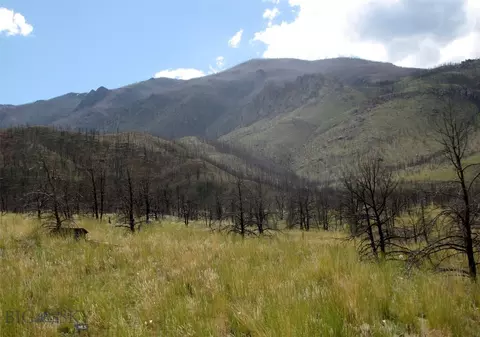 nhn Ranger Way, Red Lodge, MT 59068