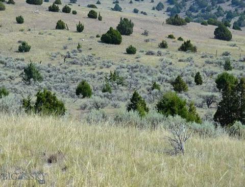 624 East Harrison Street, Virginia City, MT 59755
