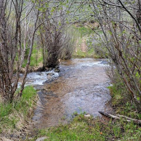 000 Dingley Creek Rd, Polaris, MT 59746