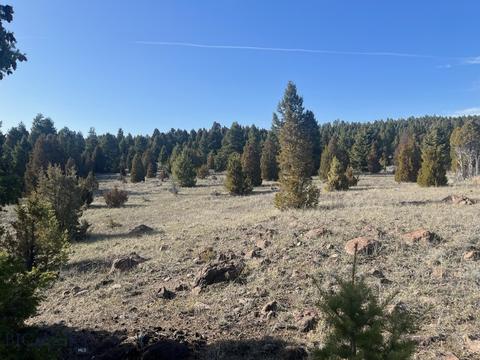 TBD Pony Express Trail Trail, Ramsay, MT 59748