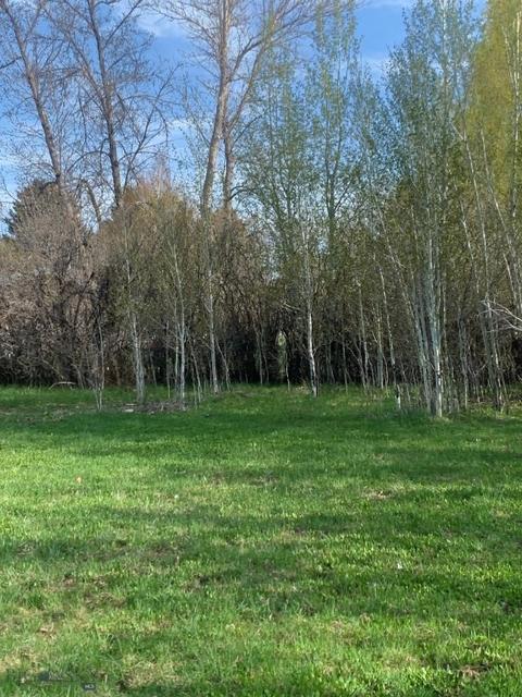 5939 Gooch Hill Rd, Bozeman, MT 59718