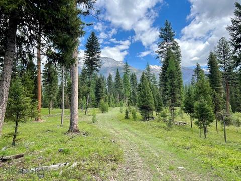 NHN Condon Loop, Condon, MT 59826
