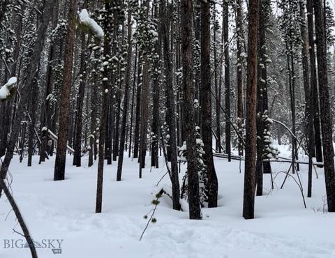 33 Lodgepole Ln W, Anaconda, MT 59711