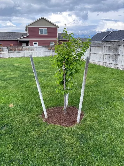 1506 Powers Blvd, Belgrade, MT 59714 photo 36