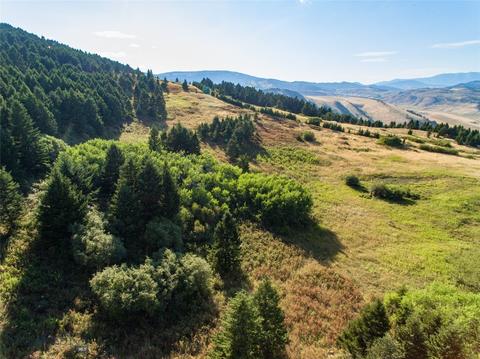 TBD Coyote Drive, Livingston, MT 59047
