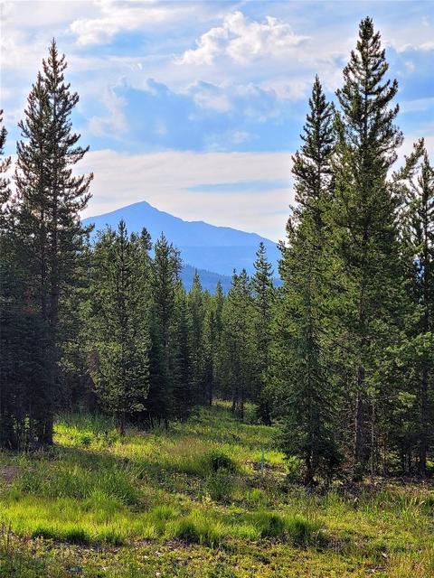 1740 Beaver Creek West Rd, Big Sky, MT 59716