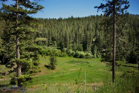 Bitterroot Overlook On Eight Mile Creek, Florence, MT 59833