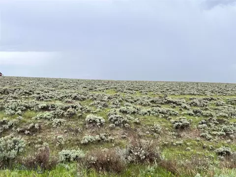 Tract 27 Steel Creek Rd, Wisdom, MT 59761