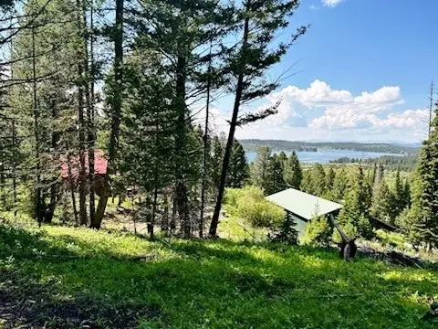 TBD Fire Lane, Anaconda, MT 59711