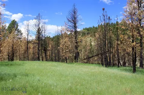 tbd Bobcat Lane, Roundup, MT 59072